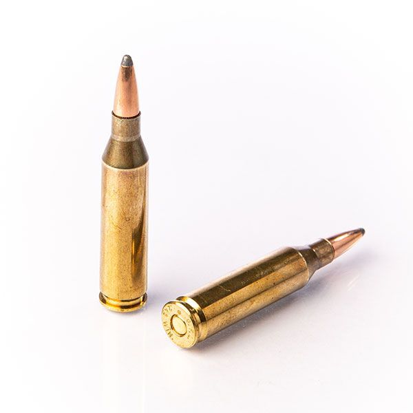 243 WINCHESTER LL