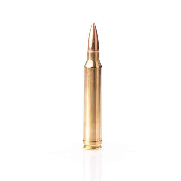 300 WINCHESTER MAGNUM