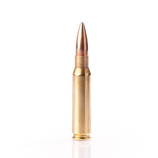 308 WINCHESTER