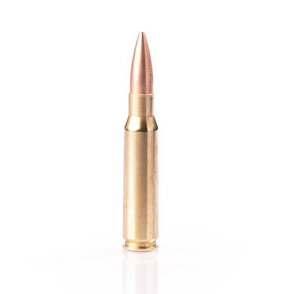 308 WINCHESTER