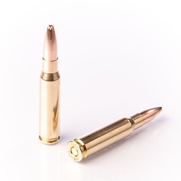 308 WINCHESTER ZP