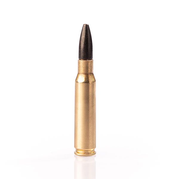 308 WINCHESTER ZP