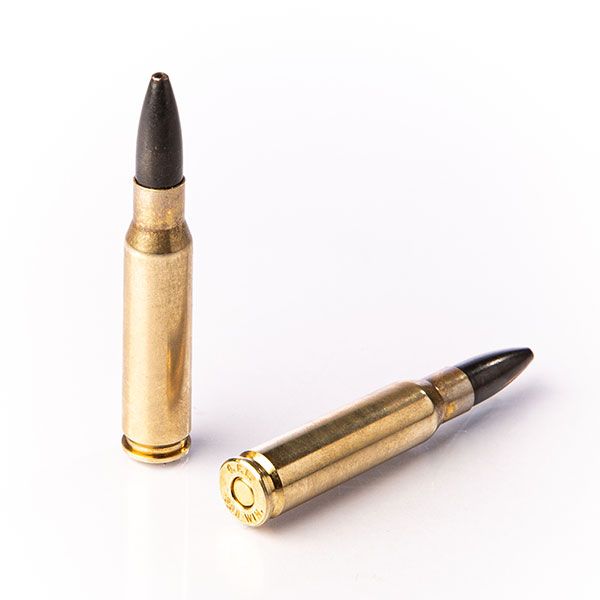 308 WINCHESTER ZP