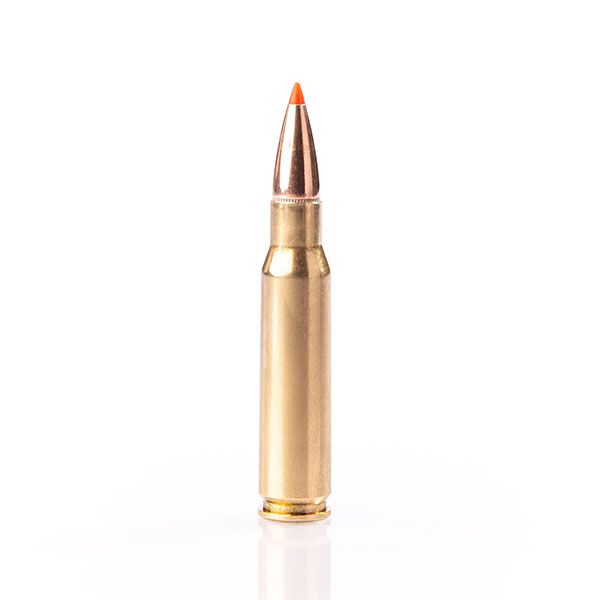 308 WINCHESTER LL