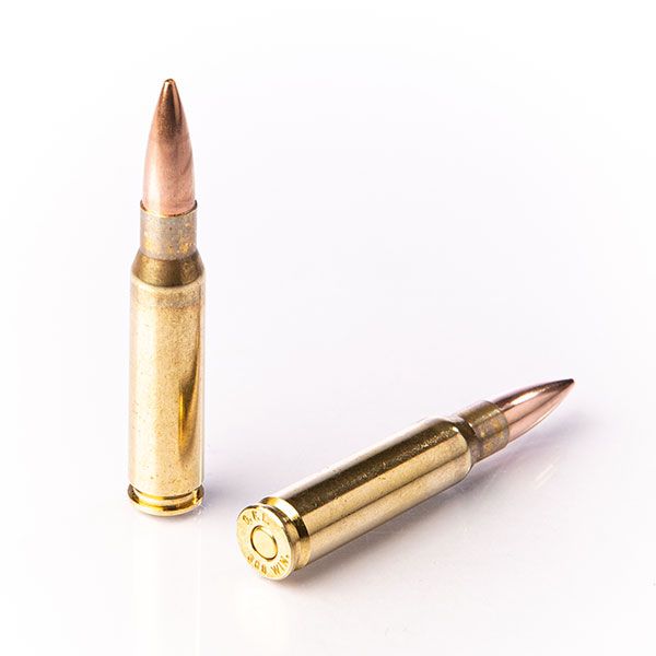 308 WINCHESTER