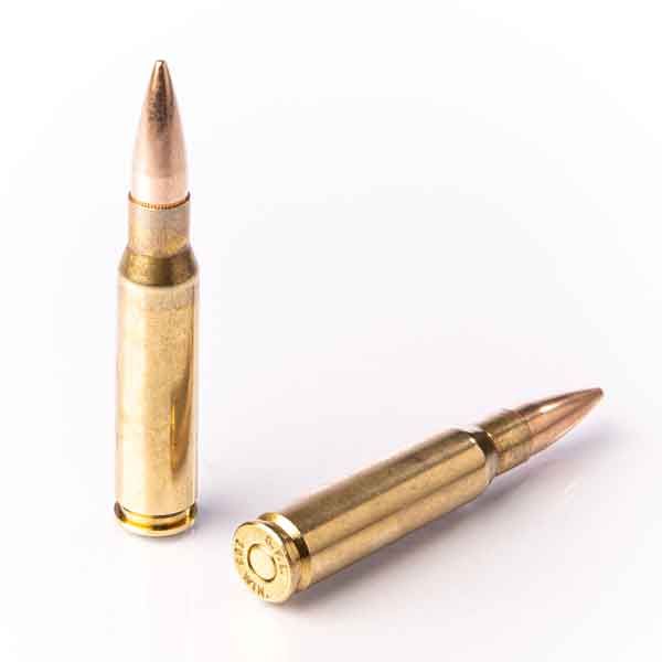 308 WINCHESTER LL